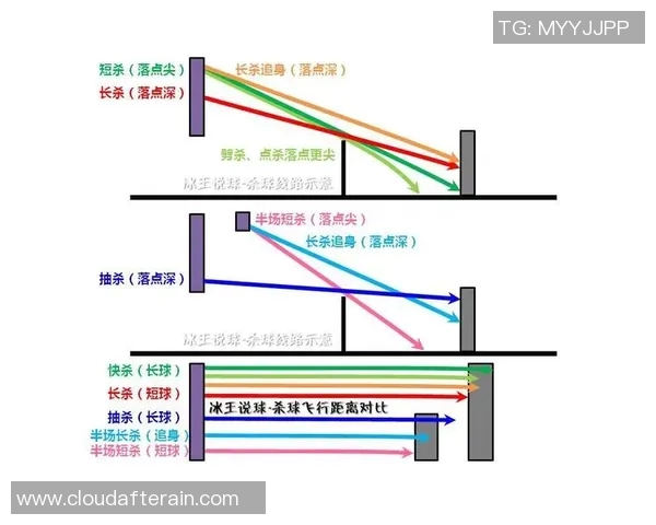 上海羽毛球队在世界锦标赛中的战术表现分析与启示 上海羽毛球队在世界锦标赛中的战术表现分析与启示