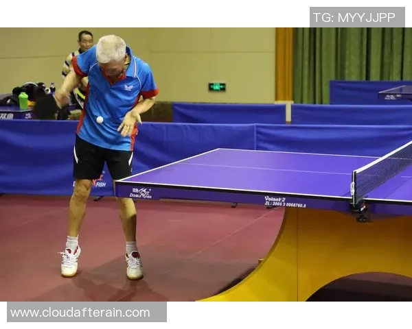 杭州乒乓球队在总决赛积分榜上以89分稳居第一名展现强劲实力 杭州乒乓球队在总决赛积分榜上以89分稳居第一名展现强劲实力