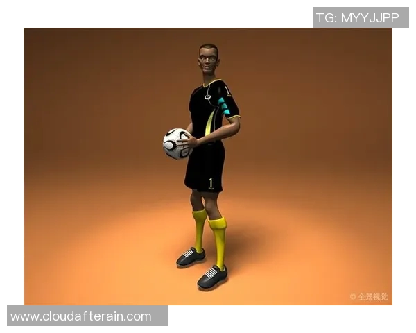 欧洲足球明星贴纸大全全景展示与收藏指南